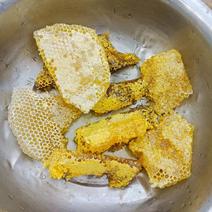 一件代发自家养殖中华土蜂蜜品质有保障价格优惠可发全国