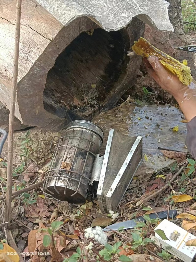 一件代发自家养殖中华土蜂蜜品质有保障价格优惠可发全国