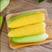 【平台力推】水果玉米全新上市颗粒饱满口感香甜品质保证欢迎采购