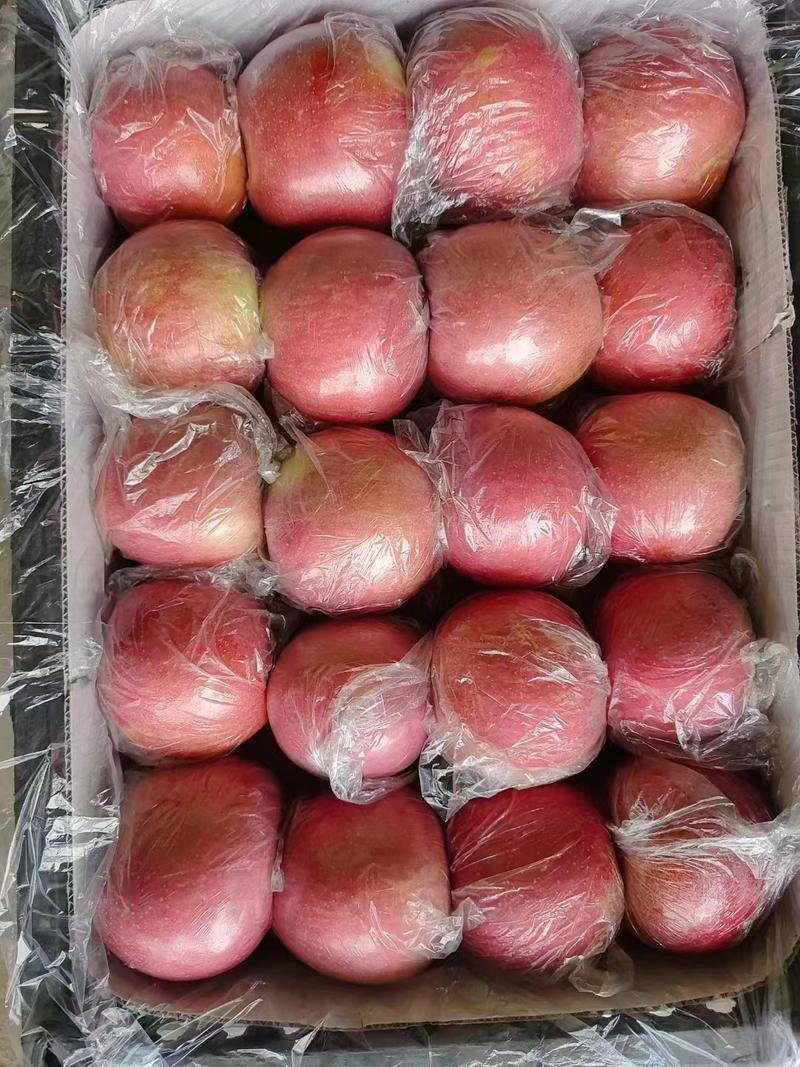安徽砀山红富士苹果80以上色泽艳丽口感脆甜热情服务