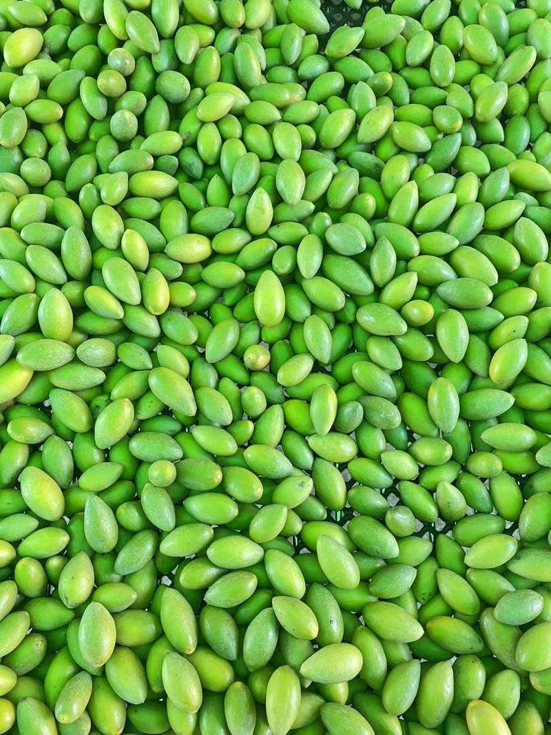 广东产地直发橄榄新鲜采摘货量充足价格优惠可发全国
