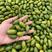广东产地直发橄榄新鲜采摘货量充足价格优惠可发全国