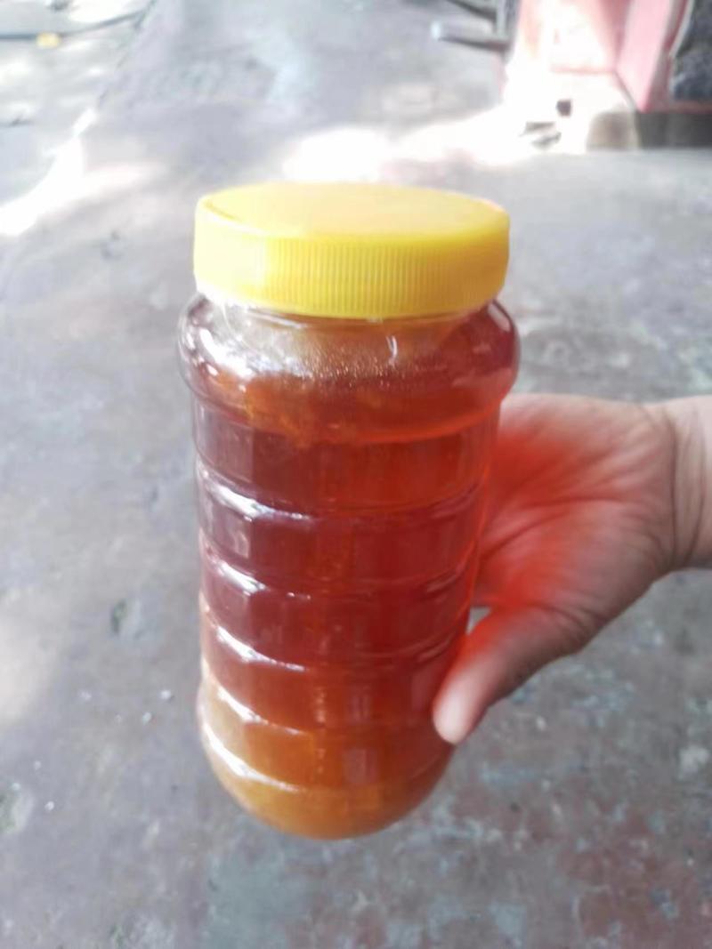 海拔1千三百多的纯野生士蜂蜜精品波美渡41，假一赔十
