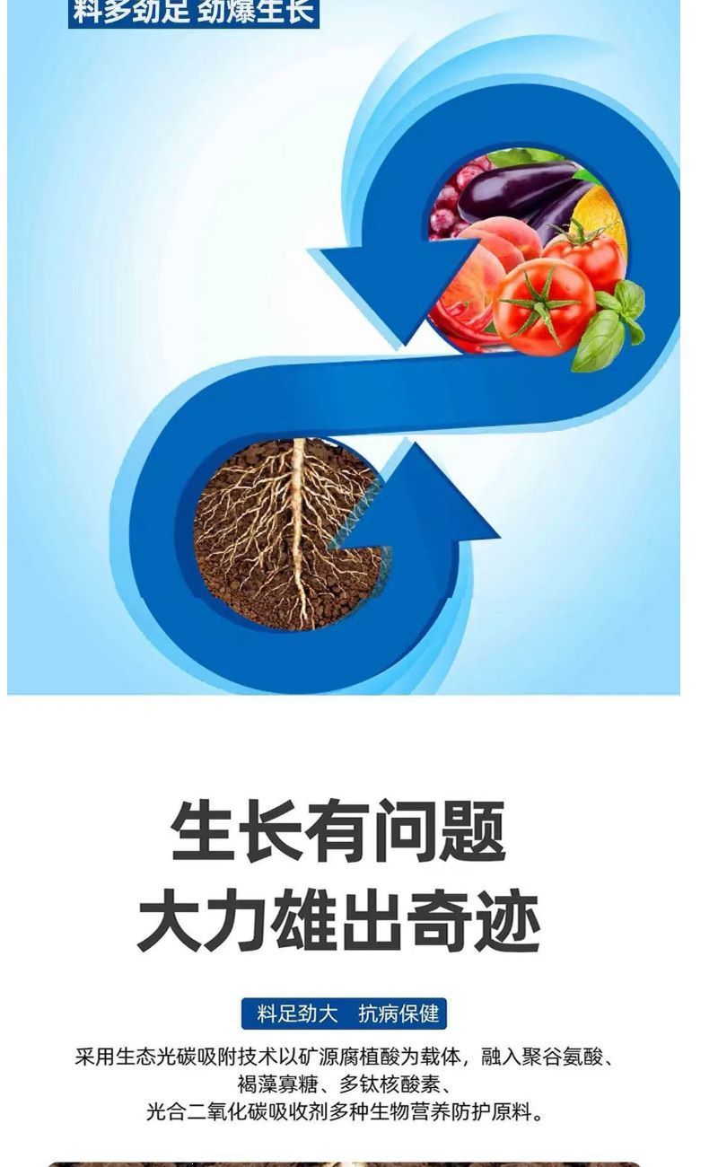 山药材抗病增产肥半夏石菖蒲党参黄叶卷叶五指毛桃无激素膨大