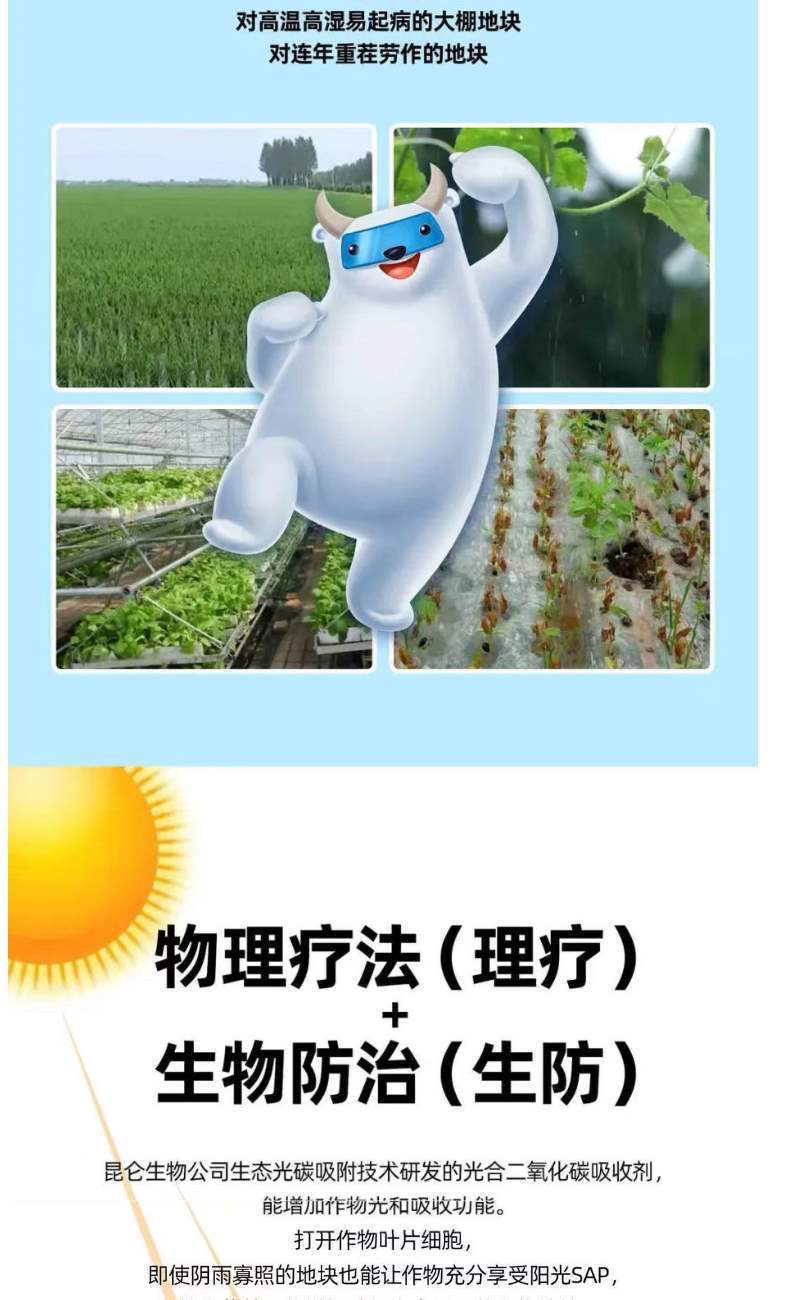 山药材抗病增产肥半夏石菖蒲党参黄叶卷叶五指毛桃无激素膨大
