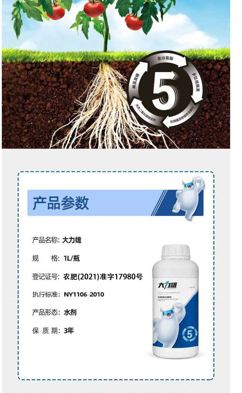 山药材抗病增产肥半夏石菖蒲党参黄叶卷叶五指毛桃无激素膨大