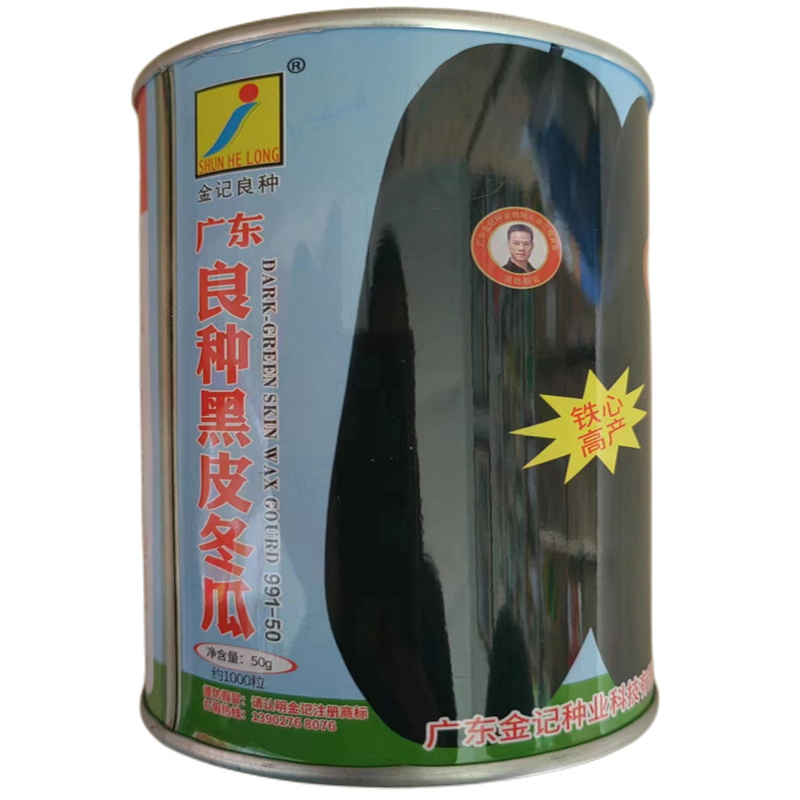 广东黑皮冬瓜种子早生抗病大铁心高产黑皮冬瓜种子四季大田