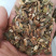 百日草花种子四季易种庭院别墅景观花海路边绿化种子