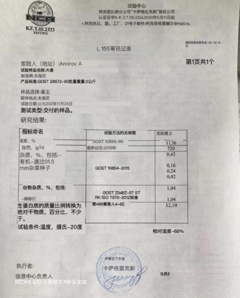 牧草型大麦种子牧草种子质大麦草四季播种。基地直供