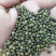 甘草种子当年新采甘草籽包发芽率免费提供种植技术