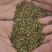 甘草种子当年新采甘草籽包发芽率免费提供种植技术
