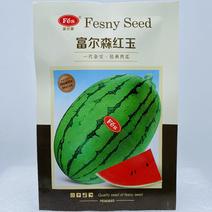 富尔森红玉西瓜种子超甜西瓜种子200粒