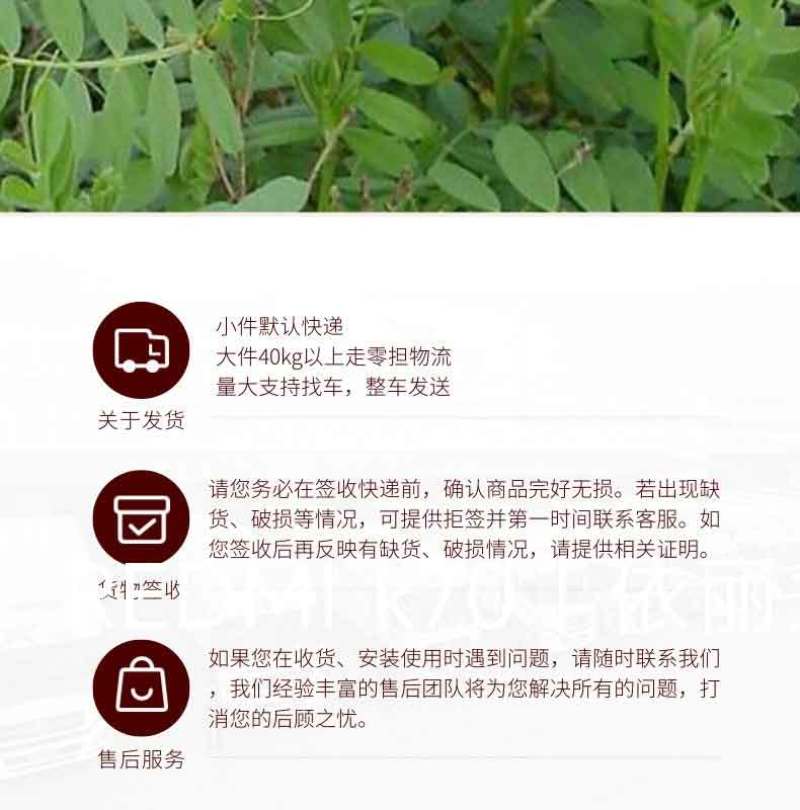 箭舌豌豆种子田林果园固氮绿肥籽野豌豆种子大量供应