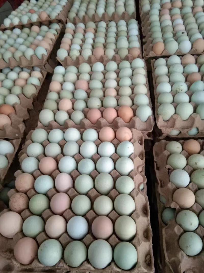 河南乔纳森富硒鸡蛋厂家直发品质保证欢迎客户来电咨询
