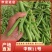 青豌豆籽粒饱满无烂角，基地大量供应十一豆