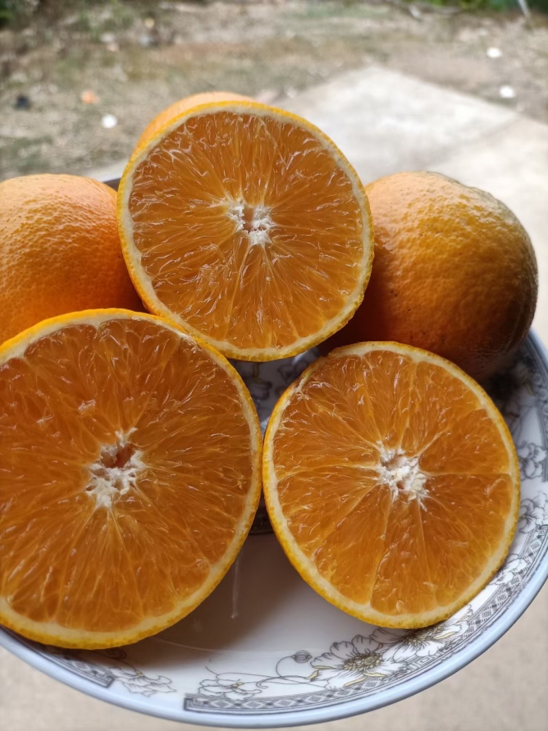 夏橙广西水果之乡优质橙子皮薄甜规格全对接电商批发商线下
