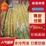 黄皮甘蔗广东黄皮甘蔗大量现货脆甜多汁皮薄肉厚现砍现发