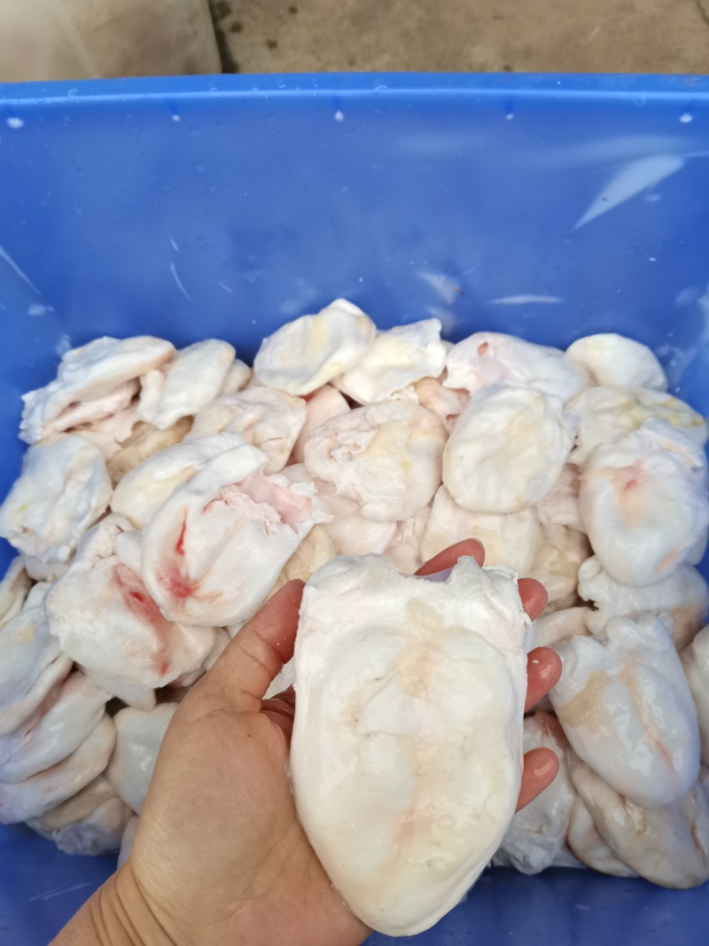 新鲜江团鱼泡鮰鱼泡一手货源品质保障价格优惠欢迎咨询