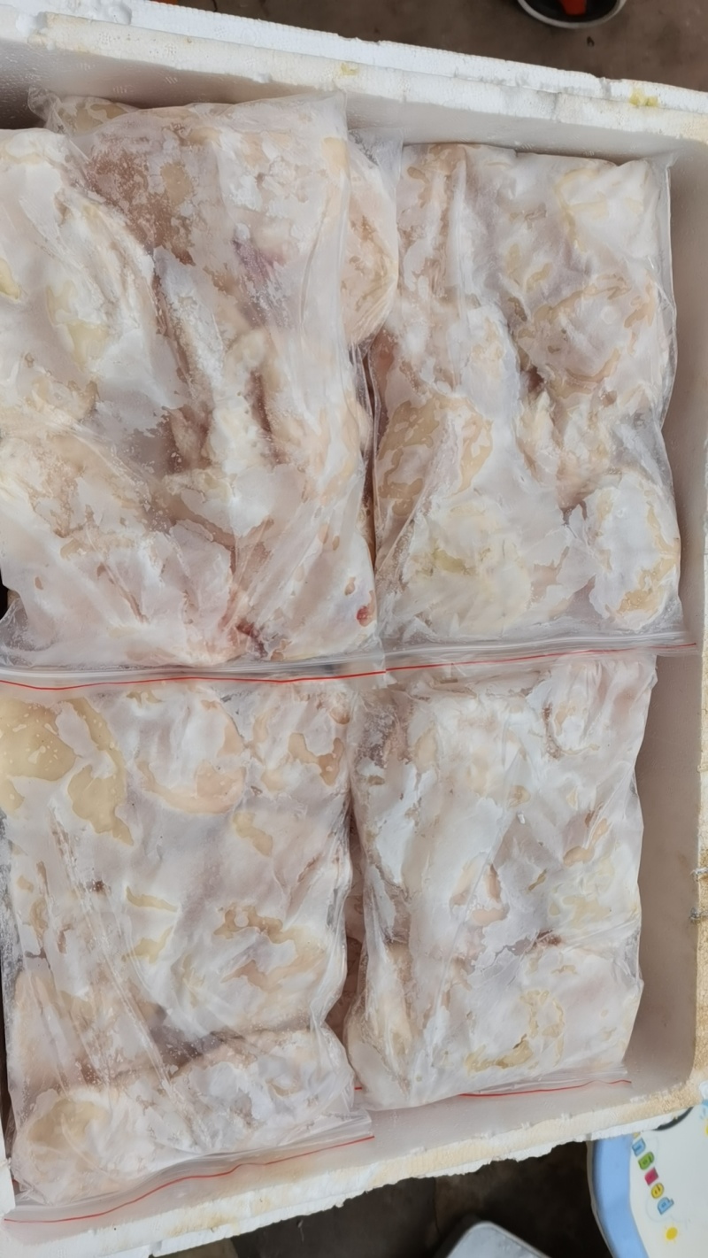新鲜江团鱼泡鮰鱼泡一手货源品质保障价格优惠欢迎咨询