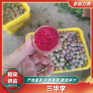 广西桂林三华李规格全价格低对接电商批发商线下档口欢迎