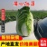 高山黄心大白菜大量供应，量大从优，品质保证，可视频看货