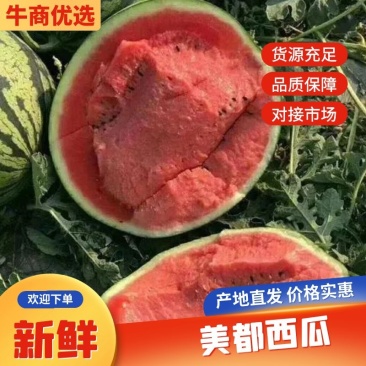东台有籽美都西瓜口感脆甜大量有货保质保量承接全国市场商超