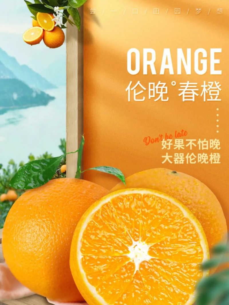 【伦晚脐橙】宜昌秭归口感纯甜个大皮薄价格优惠价优