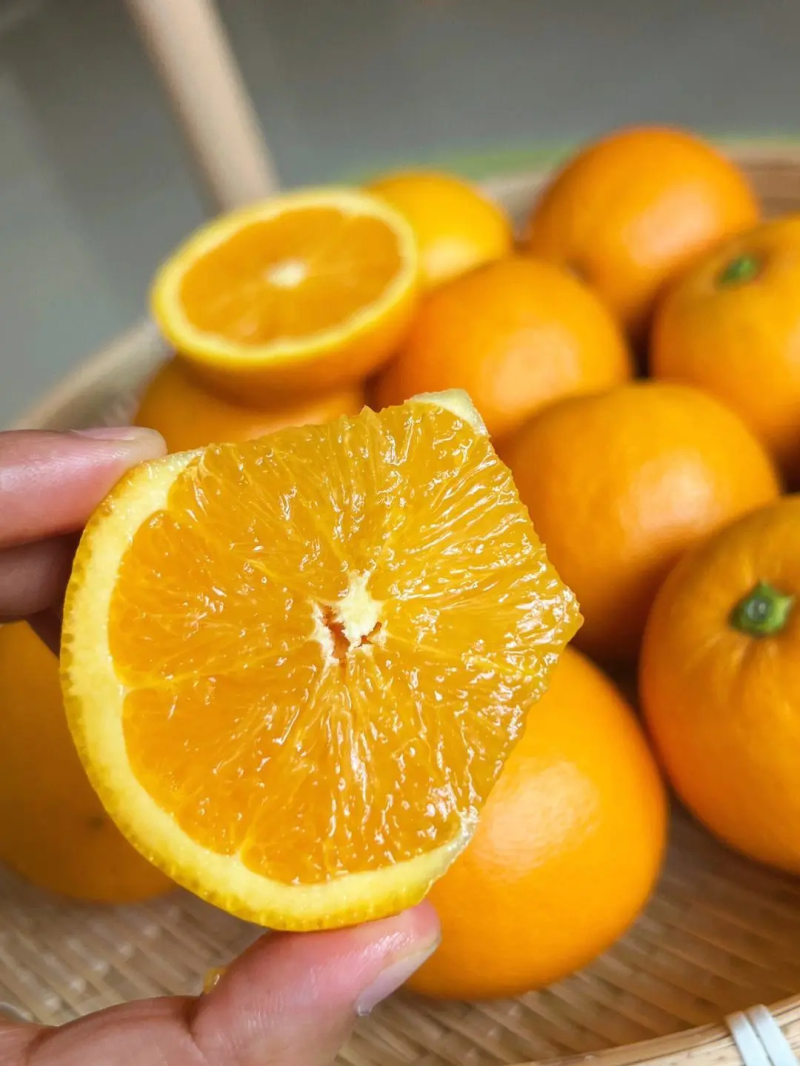【伦晚脐橙】宜昌秭归口感纯甜个大皮薄价格优惠价优