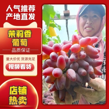 茉莉香葡萄质量好口感甜走货快，希望大家都能来摘购，主要发