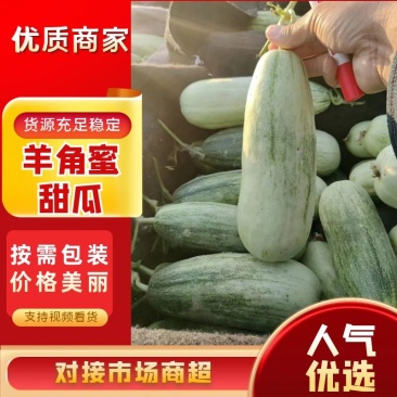 精品甜瓜羊角密61甜瓜，一件代发，专业团队，诚信经营