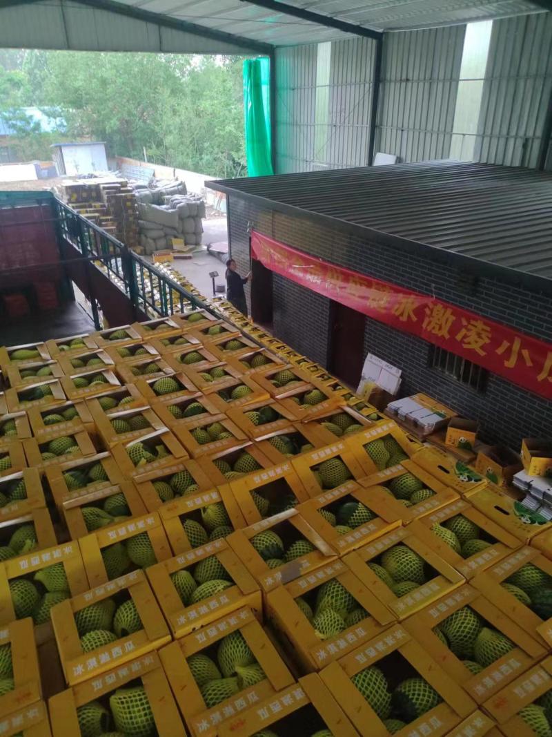 特小凤西瓜江苏冰激凌西瓜宿迁西瓜火爆各地全国可发货