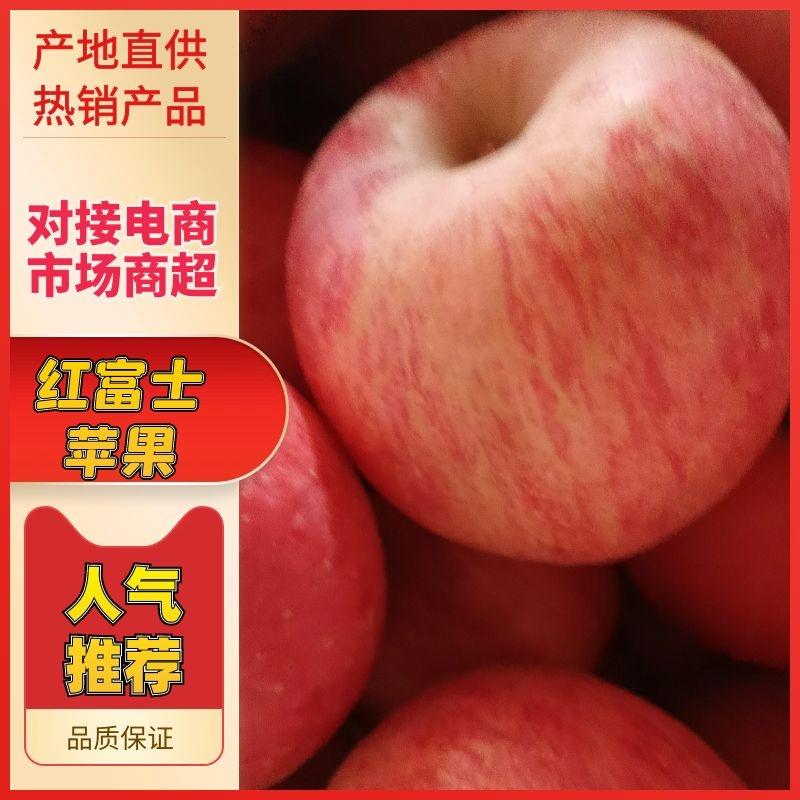 【精选】高山红富士苹果皮薄脆甜可对接全国电商批发商