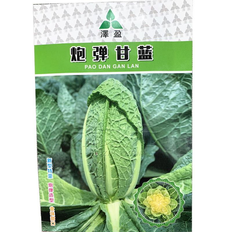 炮弹甘蓝种子包菜种籽新型甘兰春秋包菜夏秋四季绿蔬菜种孑