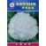 丰田青梗松花菜种子，中厦花椰菜，耐热耐湿，抗旱抗涝，抗病