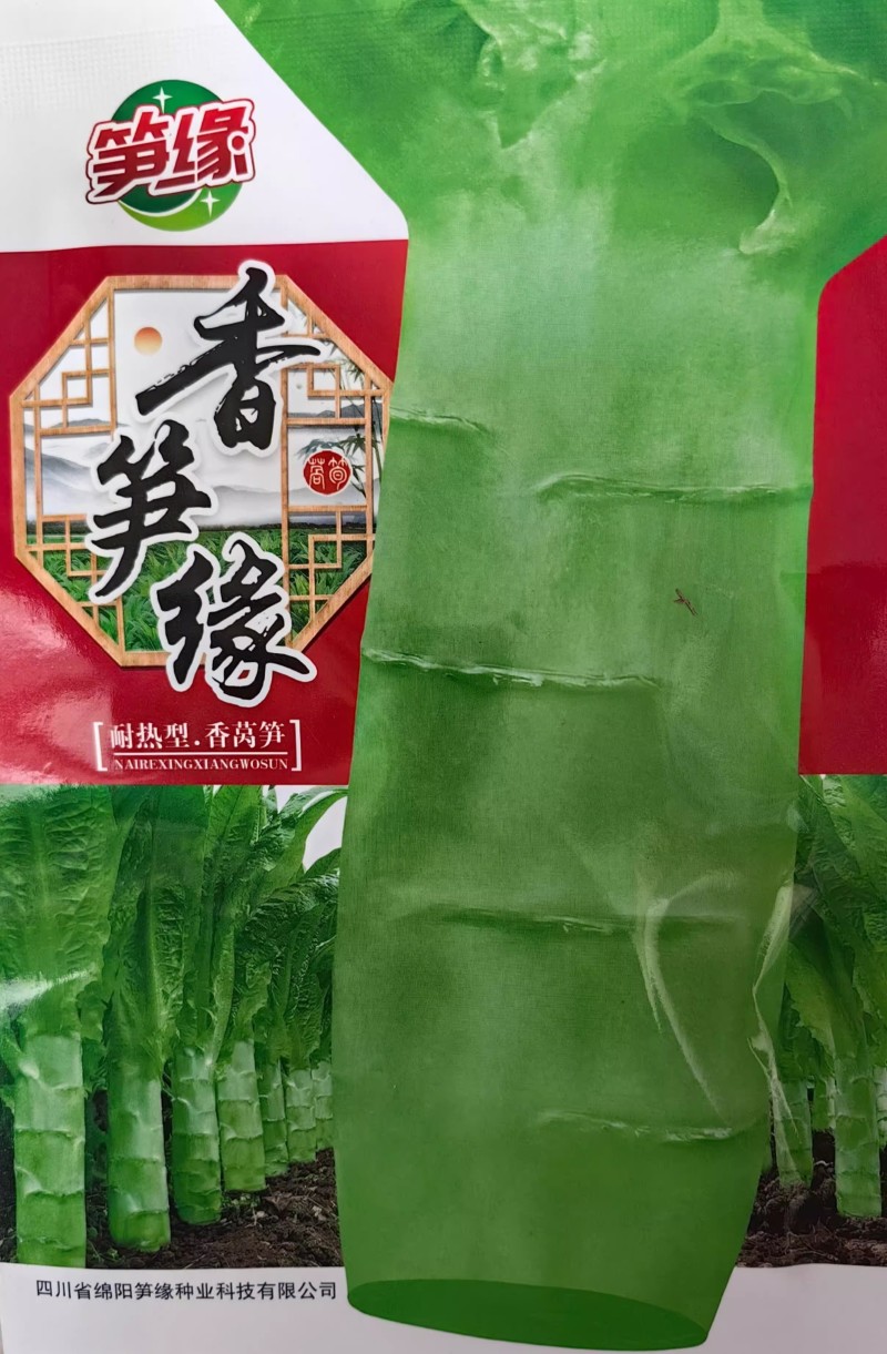 香莴笋种子，耐热耐抽苔，清香脆嫩，秋夏高温品种，基地种植