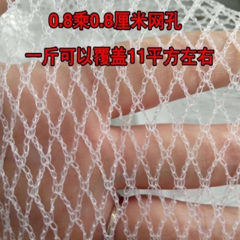 防雹网苹果葡萄纱网果园农田园艺防冰雹网