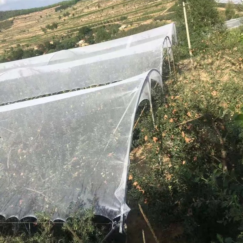 防雹网苹果葡萄纱网果园农田园艺防冰雹网