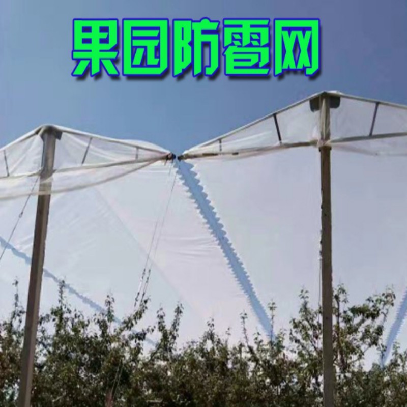 防雹网苹果葡萄纱网果园农田园艺防冰雹网