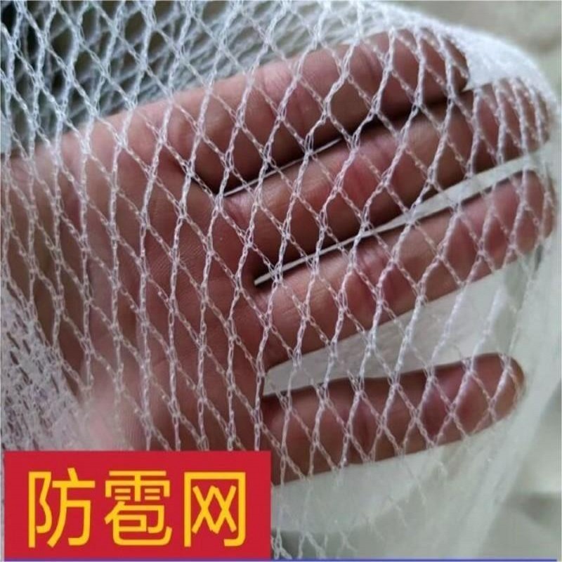 防雹网苹果葡萄纱网果园农田园艺防冰雹网