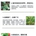 30%甲霜恶霉灵烂根死苗根腐病立枯病枯萎病土壤消毒杀菌剂