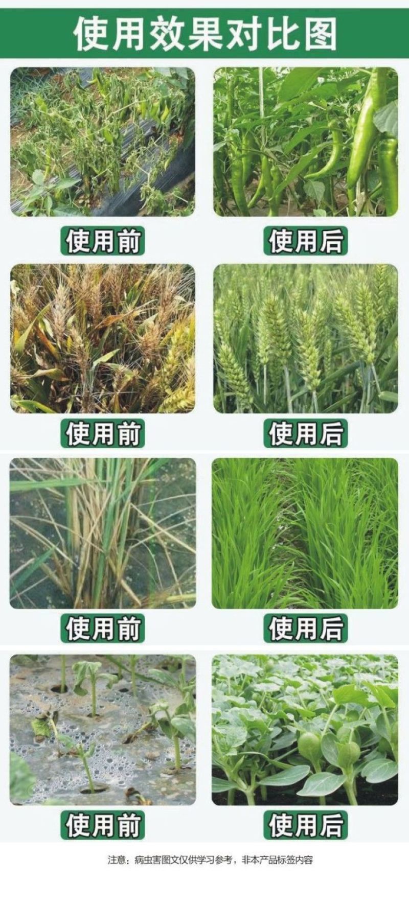 30%甲霜恶霉灵烂根死苗根腐病立枯病枯萎病土壤消毒杀菌剂