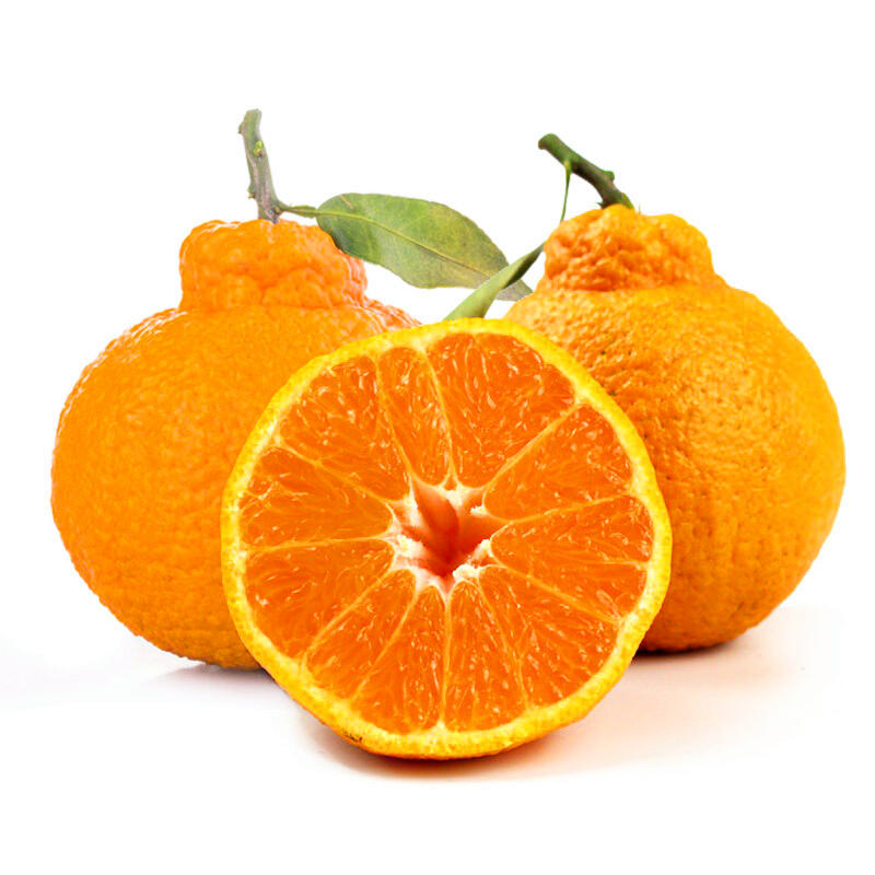 【一件代发】5斤丑橘原装果袋内托加彩箱包装不知火丑柑