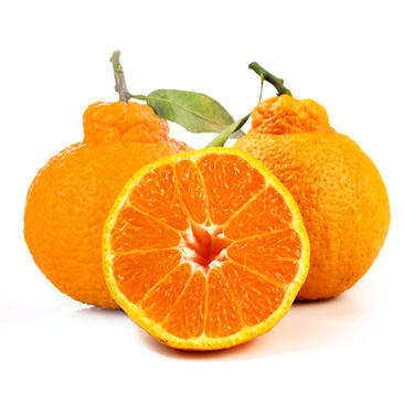 【一件代发】10斤丑橘原装果袋内托加彩箱包装不知火丑柑