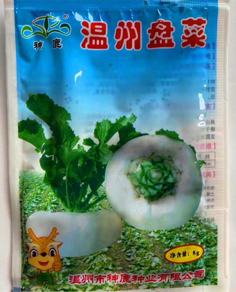 温州盘菜种子浙江大盘菜种子盘菜头籽种秋冬菜籽蔬大田基地种