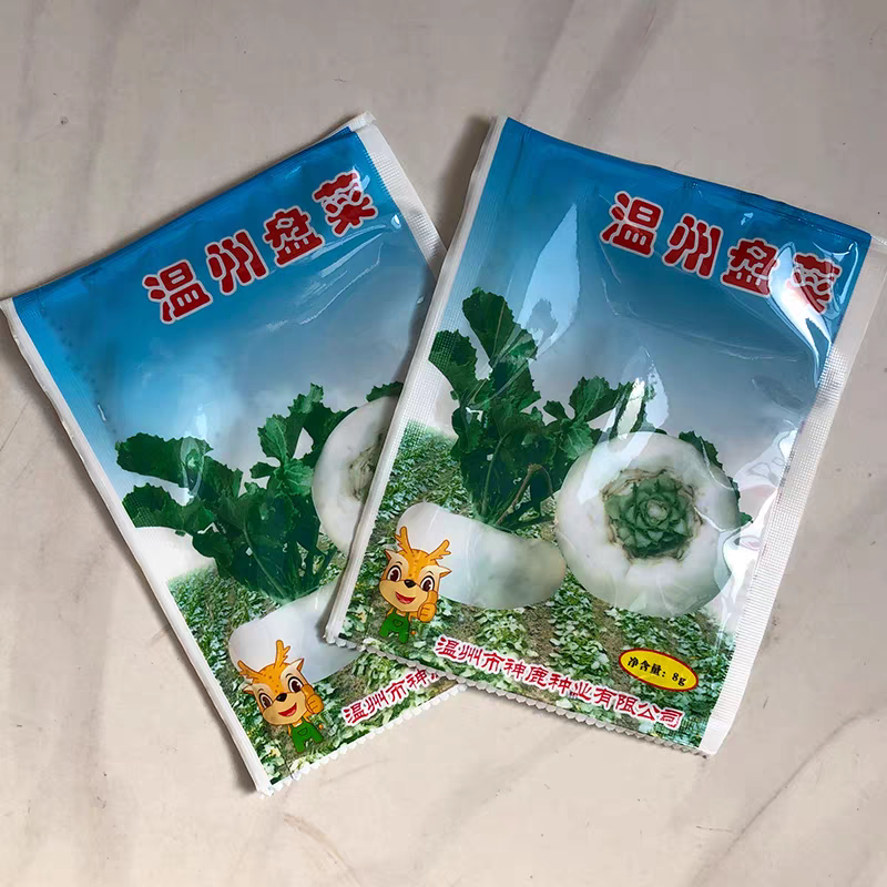 温州盘菜种子浙江大盘菜种子盘菜头籽种秋冬菜籽蔬大田基地种