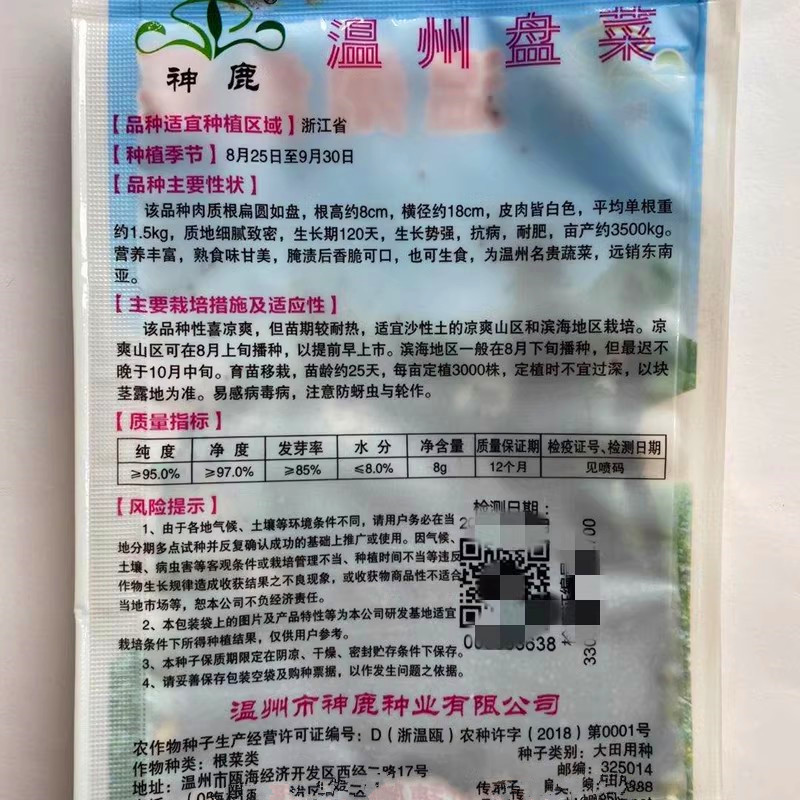 温州盘菜种子浙江大盘菜种子盘菜头籽种秋冬菜籽蔬大田基地种