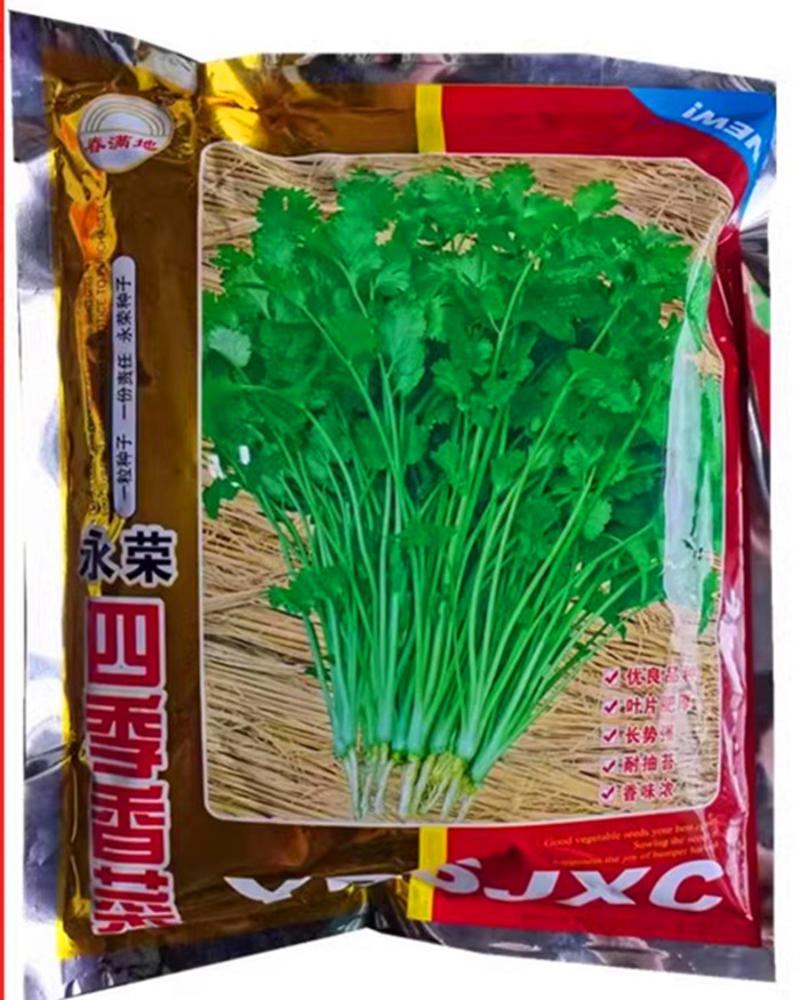 永荣四季香菜种子，叶片肥厚，耐热耐寒，耐抽苔，香味浓