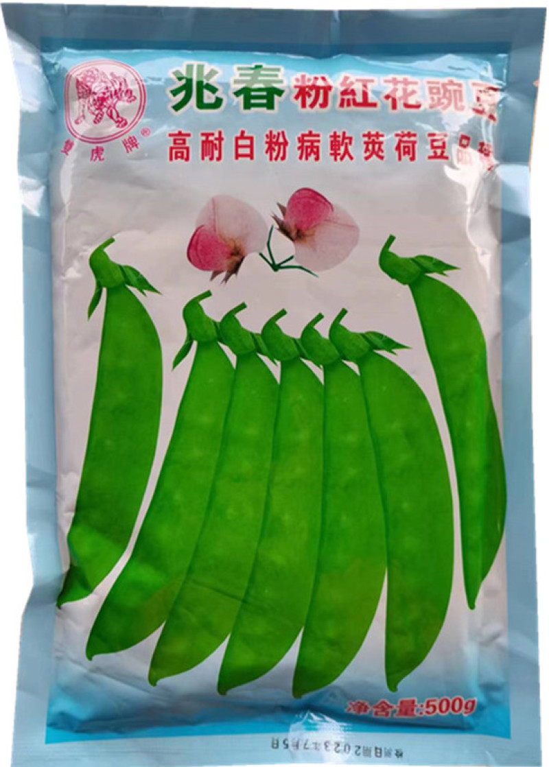 粉红花荷兰豆种子，耐寒耐旱，耐白粉病，美绿脆甜，基地种植