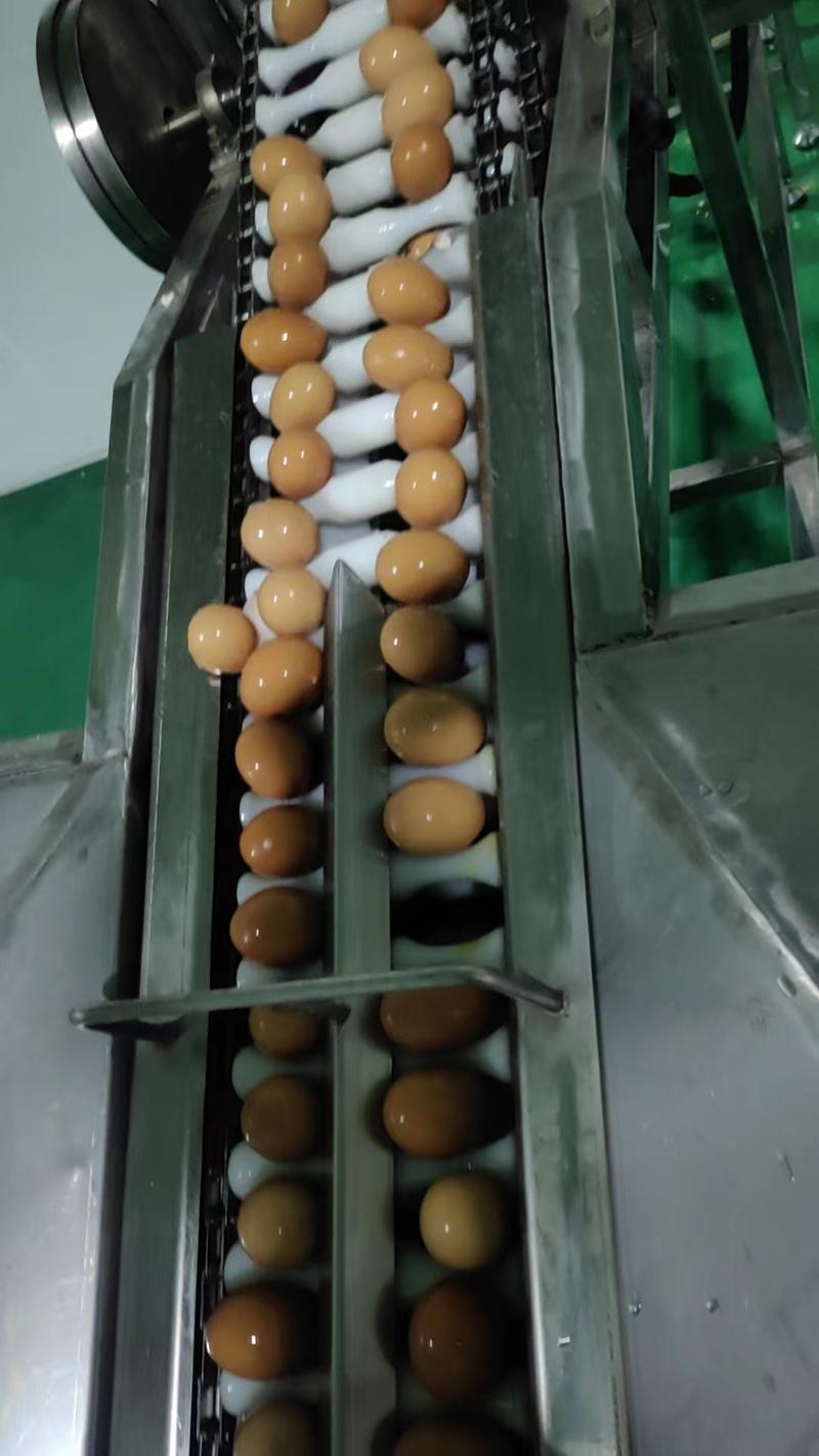 厂家直发鸡蛋干一手货源价格优惠好吃实惠欢迎采购