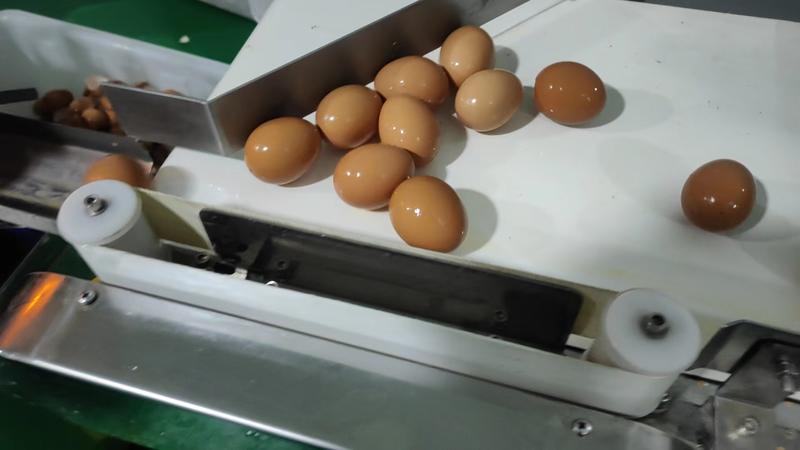 厂家直发鸡蛋干一手货源价格优惠好吃实惠欢迎采购